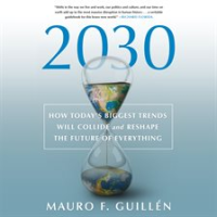 2030__How_Today_s_Biggest_Trends_Will_Collide_and_Reshape_the_Future_of_Everything